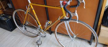 Used Moser Campagnolo Record 1977 Road & Gravel