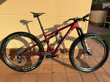 Used Specialized Epic 8 Expert 2024 Frameset 2024 MTB