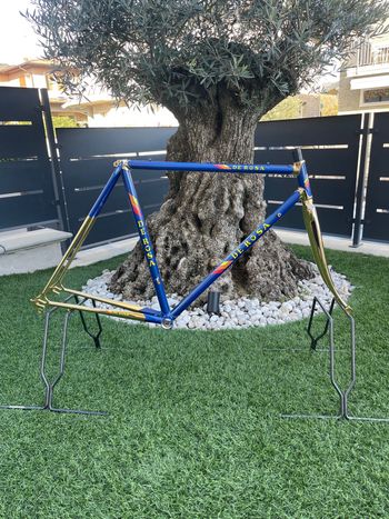 Used De Rosa GOLD SAMMONTANA DE ROSA 1974 Road & Gravel