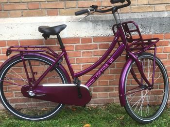 Used Cortina U4 2025 Road & Gravel