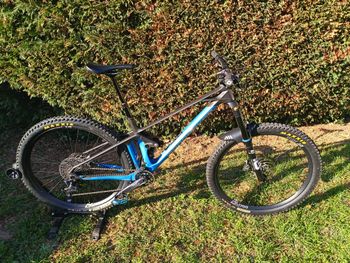 Mondraker, FOXY CARBON RR 29 2022