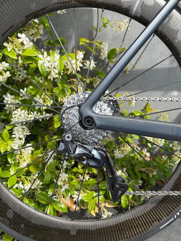 Used BMC TIMEMACHINE ROAD 01 ONE 2019 2019 Road & Gravel, Light Gray — image 3 of 3