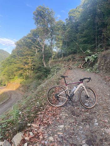 Used Cannondale Topstone Sram Apex Etap AXS 2024 Road & Gravel, Purple — image 4 of 5