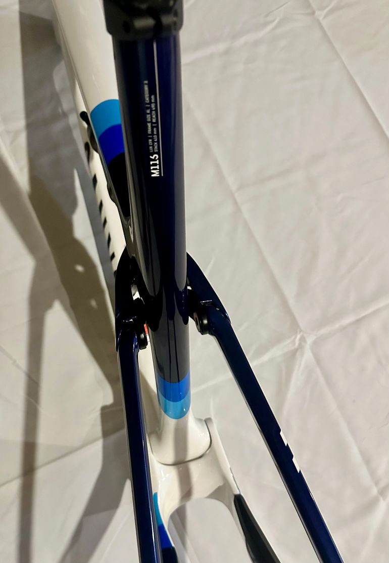 Used Canyon Lux World Cup CFR Team 2024 Frameset 2024 Mountainbike, White, 29 — image 3 of 14