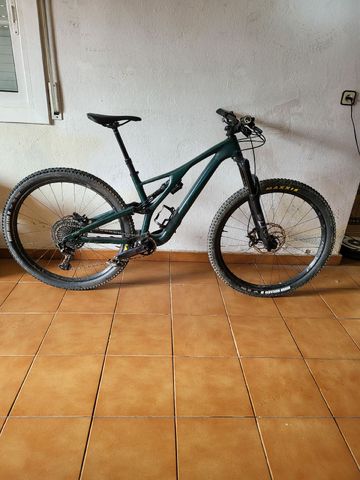 Used Specialized Stumpjumper Expert 2021 2021 Mountainbike, Green, 29 — image 1 of 5