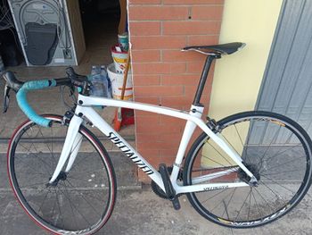 Used Specialized Tarmac 2016 Road & Gravel, White — image 5 of 5
