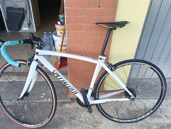 Used Specialized Tarmac 2016 Road & Gravel, White — image 2 of 5