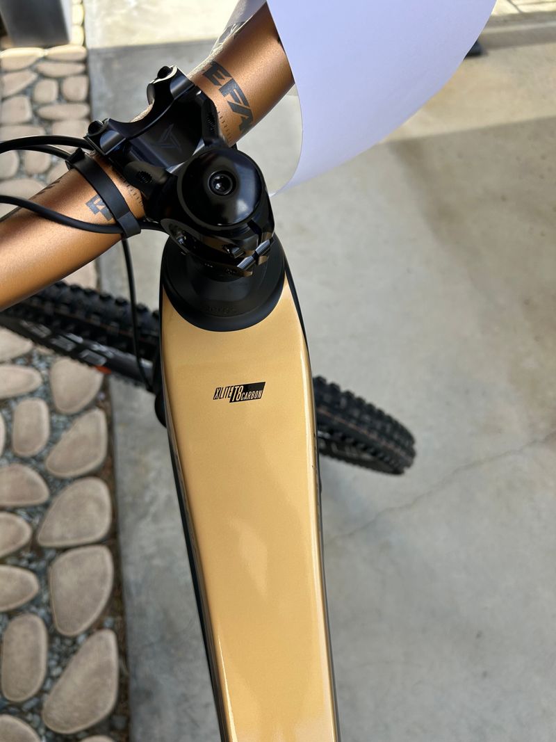 Used Whistle B-Rush C12.5 2026 Mountainbike, Black — image 2 of 12