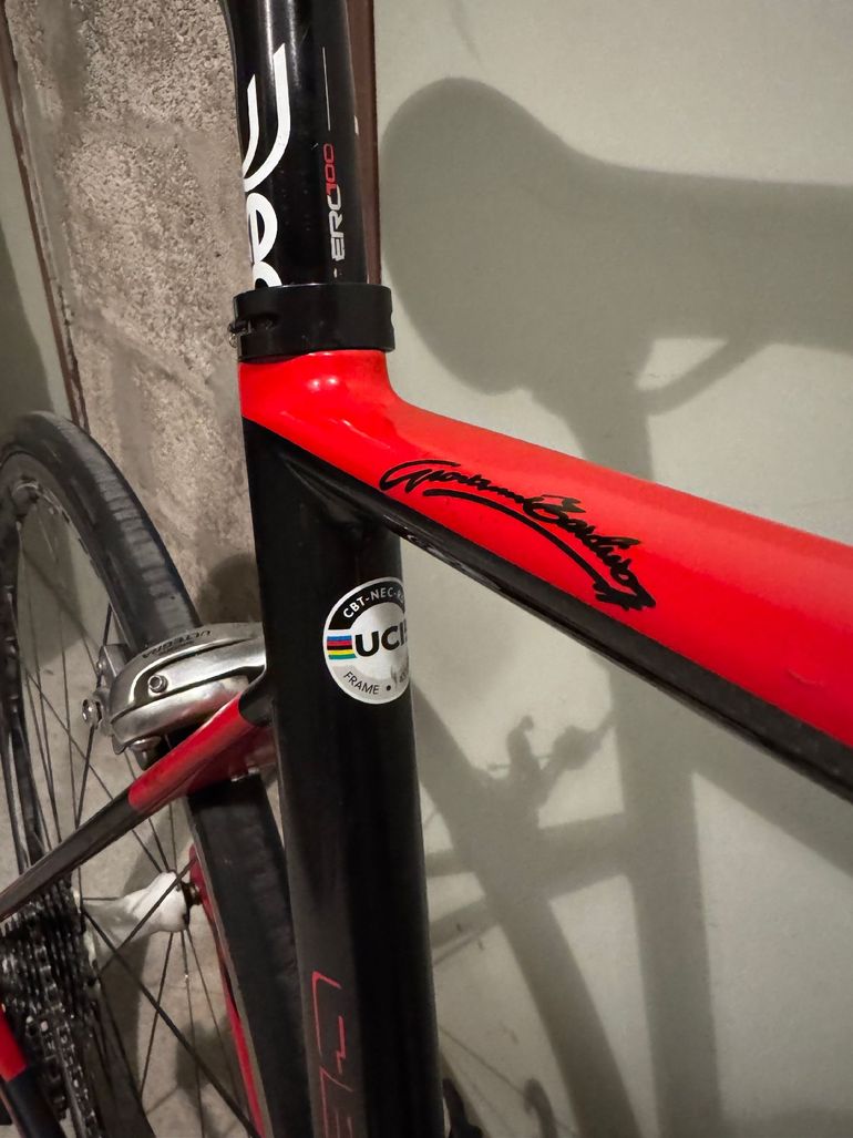 CBT Italia Necer (cbt-nec-rd) 2018