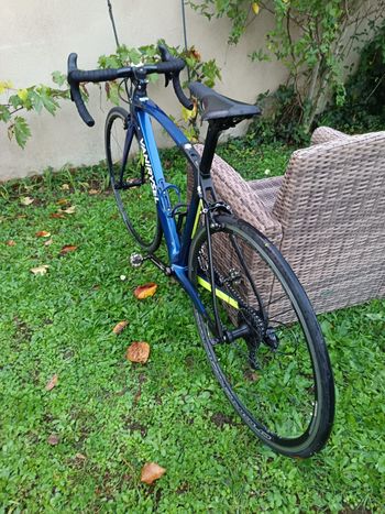 Used Van rysel Ultra Campagnolo Potenza 2022 Road & Gravel, Blue — image 4 of 5