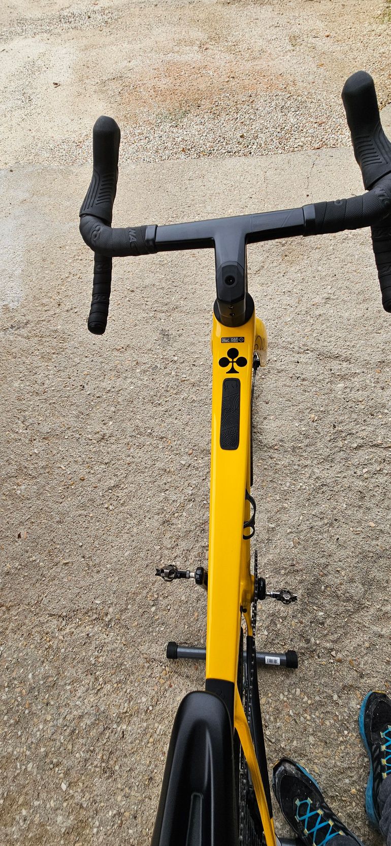 Used Colnago G4X 2025 Road & Gravel, Orange — image 5 of 6