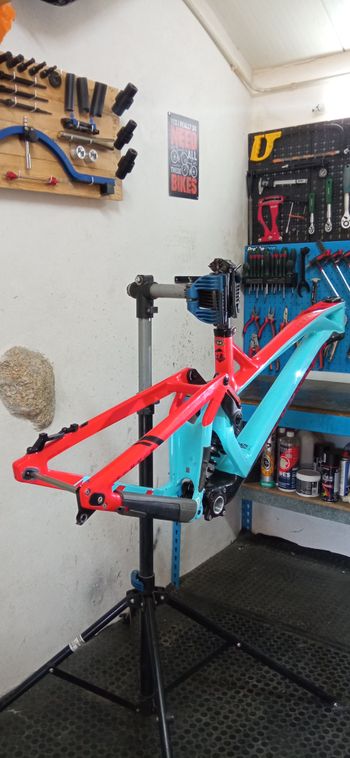 Used Mondraker Summum Carbon Pro Team 2019 Frameset 2019 MTB