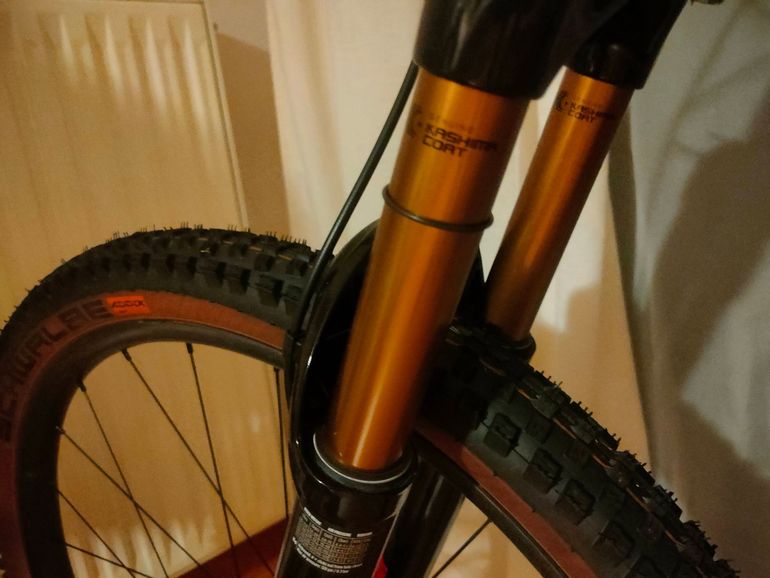 Used Orbea OCCAM SL M-LTD 2025 2025 Mountainbike, Green, 29 — image 3 of 4