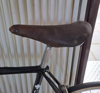 Used Colnago Mexico Co 1976 Road & Gravel, Black — image 10 of 13