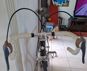 Used Colnago Mexico Co 1976 Road & Gravel, Black — image 8 of 13