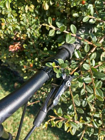 Used Trek Procaliber 9.7 2023 2023 Mountainbike, Light Gray, 29 — image 8 of 19