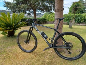 Used Trek Procaliber 9.7 2023 2023 Mountainbike, Light Gray, 29 — image 19 of 19