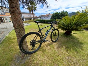 Used Trek Procaliber 9.7 2023 2023 Mountainbike, Light Gray, 29 — image 17 of 19