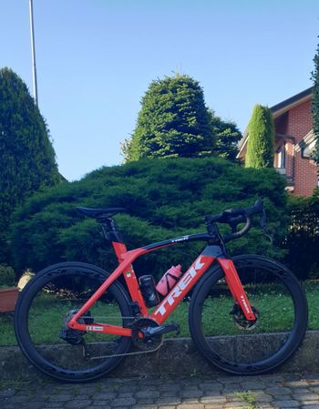 Used Trek Madone SL 6 Disc 2020 2020 Road & Gravel