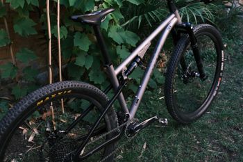 Used Titan Mtb Titane Waltly Titanium 2024 Mountainbike, Light Gray — image 2 of 9