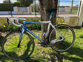 Used Colnago EPS 2011 Road & Gravel, White — image 2 of 5