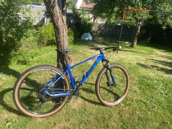 Used Bh - expert SRAM SX Eagle 2022 MTB