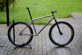 Used Van Nicholas Zion Titanium Singlespeed MTB 2006 MTB