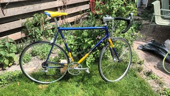 Used Koga Miyata 1990 Road & Gravel