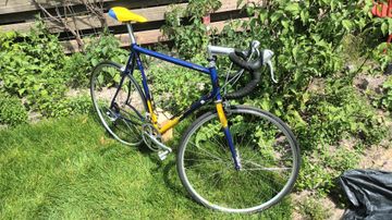 Used Koga Miyata 1990 Road & Gravel, Blue — image 13 of 14