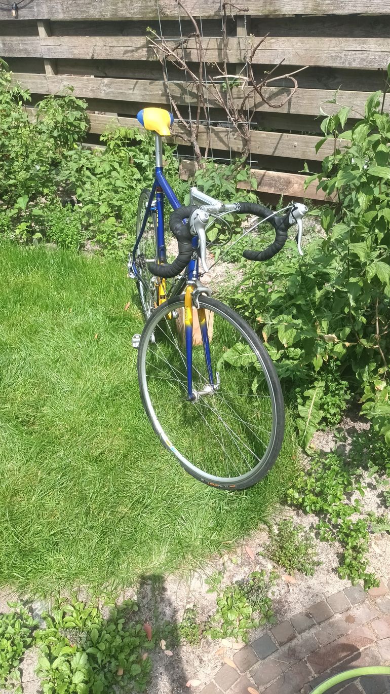 Used Koga Miyata 1990 Road & Gravel, Blue — image 2 of 14