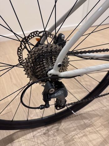 Used Cannondale Synapse 2 2023 Road & Gravel, Light Gray — image 4 of 7