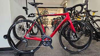 Used Stevens Izoard Pro Disc Ultegra 2024 Road & Gravel