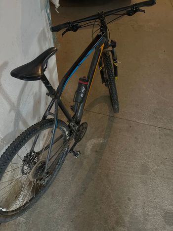 Specialized, Rockhopper 29 2016