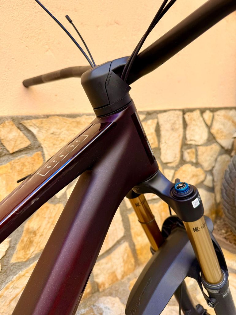 Used Scott Genius 900 Ultimate 2024 Frameset 2024 Mountainbike, Black, 29 — image 5 of 11