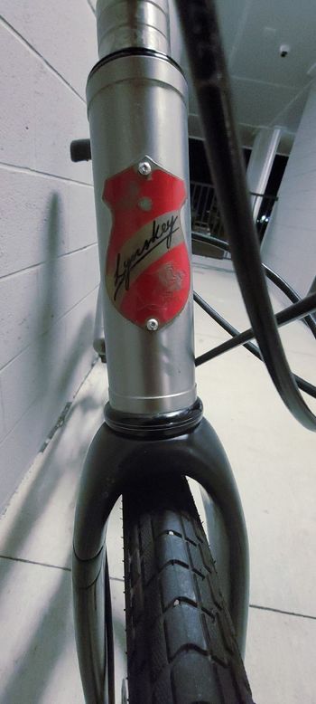 Used Lynskey Nantucket 2023 Road & Gravel, Light Gray — image 6 of 8