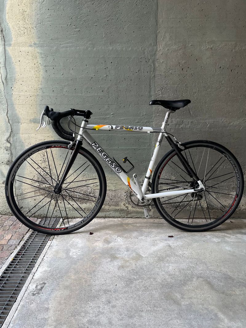 Used Pacific Pegaso Racing 2013 2013 Road & Gravel
