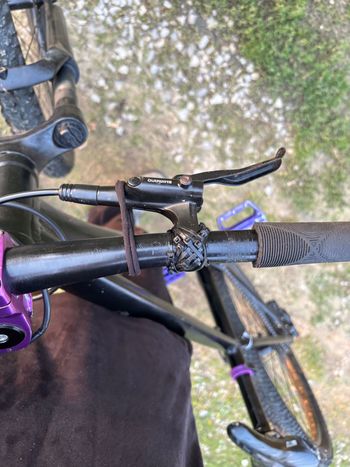 Used Kellys WHIP 10 2023 2023 Mountainbike, Black, 26 — image 9 of 9