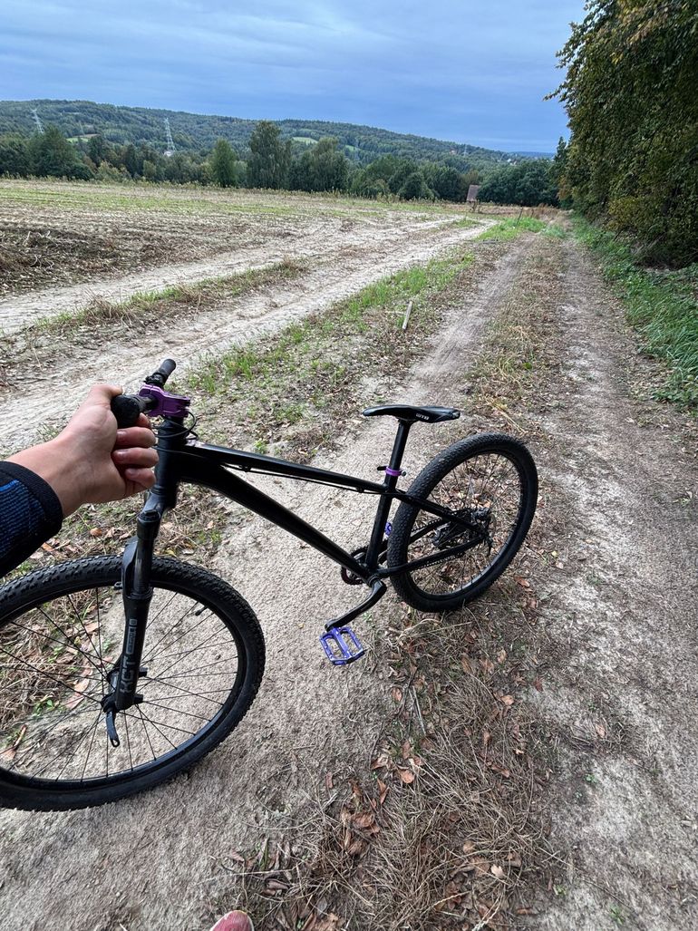 Used Kellys WHIP 10 2023 2023 Mountainbike, Black, 26 — image 2 of 9