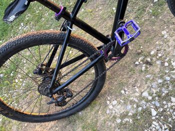Used Kellys WHIP 10 2023 2023 Mountainbike, Black, 26 — image 8 of 9
