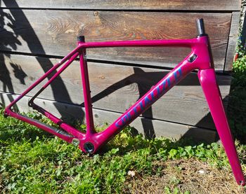 Used Specialized CruX 2021 Frameset 2021 Road & Gravel