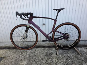 Used Rondo RUUT CF2 2024 2024 Road & Gravel, Purple — image 2 of 13