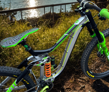 Used Giant 2020 2020 Mountainbike, Green — image 2 of 7