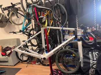 Used Megamo RAISE 2025 Road & Gravel