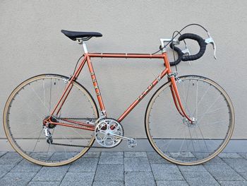Used Olmo Gentleman 1976 1976 Road & Gravel