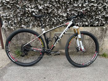 Used Focus RAVEN 8.8 2019 2019 MTB