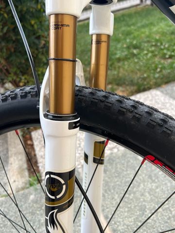 Used Focus RAVEN 8.8 2019 2019 Mountainbike, White, 29 — image 15 of 16