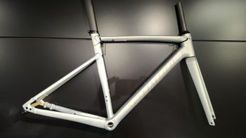 Used Specialized Allez Sprint Frameset 2025 Road & Gravel, Light Gray — image 2 of 3