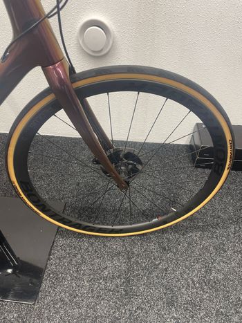 Used Trek Domane SLR 8 Disc 2019 2019 Road & Gravel, Purple — image 6 of 6