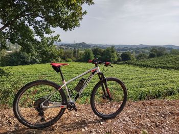 Used Bianchi Nitron - 9.3 - XT/SLX 2022 2022 Mountainbike, White, 29 — image 2 of 4