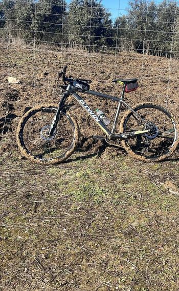 Used ROCKRIDER 900 "2016" 2016 Mountainbike, Black — image 2 of 3